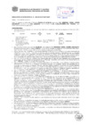 Vista preliminar de documento Resolución Sub Gerencial N° 0385-02-2019-MPT