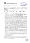 Vista preliminar de documento Resolución Sub Gerencial N° 0541-02-2019-MPT