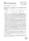 Vista preliminar de documento Resolución Sub Gerencial N° 0540-02-2019-MPT