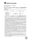 Vista preliminar de documento Resolución Sub Gerencial N° 0373-02-2019-MPT