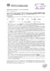 Vista preliminar de documento Resolución Sub Gerencial N° 0538-02-2019-MPT