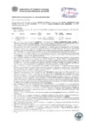 Vista preliminar de documento Resolución Sub Gerencial N° 0523-02-2019-MPT