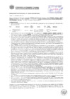 Vista preliminar de documento Resolución Sub Gerencial N° 0539-02-2019-MPT