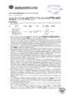 Vista preliminar de documento Resolución Sub Gerencial N° 0770-03-2019-MPT