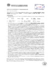 Vista preliminar de documento Resolución Sub Gerencial N° 0573-02-2019-MPT