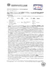 Vista preliminar de documento Resolución Sub Gerencial N° 0399-02-2019-MPT