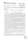 Vista preliminar de documento Resolución Sub Gerencial N° 0564-02-2019-MPT