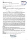 Vista preliminar de documento Resolución Sub Gerencial N° 0216-02-2019-MPT