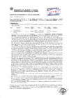Vista preliminar de documento Resolución Sub Gerencial N° 0203-02-2019-MPT