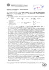 Vista preliminar de documento Resolución Sub Gerencial N° 0396-02-2019-MPT