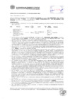 Vista preliminar de documento Resolución Sub Gerencial N° 0391-02-2019-MPT