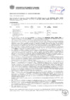 Vista preliminar de documento Resolución Sub Gerencial N° 0339-02-2019-MPT