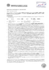 Vista preliminar de documento Resolución Sub Gerencial N° 0307-02-2019-MPT