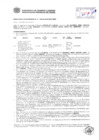 Vista preliminar de documento Resolución Sub Gerencial N° 0335-02-2019-MPT