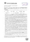 Vista preliminar de documento Resolución Sub Gerencial N° 0346-02-2019-MPT