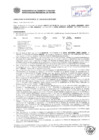 Vista preliminar de documento Resolución Sub Gerencial N° 0324-02-2019-MPT