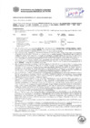 Vista preliminar de documento Resolución Sub Gerencial N° 0333-02-2019-MPT