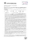 Vista preliminar de documento Resolución Sub Gerencial N° 0317-02-2019-MPT