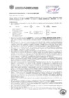 Vista preliminar de documento Resolución Sub Gerencial N° 0453-02-2019-MPT