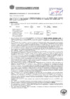 Vista preliminar de documento Resolución Sub Gerencial N° 0450-02-2019-MPT