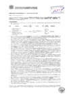 Vista preliminar de documento Resolución Sub Gerencial N° 0332-02-2019-MPT