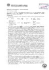 Vista preliminar de documento Resolución Sub Gerencial N° 0462-02-2019-MPT