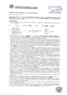 Vista preliminar de documento Resolución Sub Gerencial N° 0463-02-2019-MPT