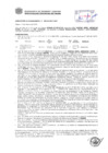 Vista preliminar de documento Resolución Sub Gerencial N° 0298-02-2019-MPT