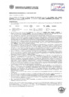 Vista preliminar de documento Resolución Sub Gerencial N° 0291-02-2019-MPT