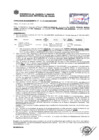 Vista preliminar de documento Resolución Sub Gerencial N° 0111-01-2019-MPT
