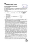 Vista preliminar de documento Resolución Sub Gerencial N° 0075-01-2019-MPT