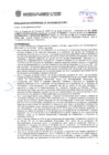 Vista preliminar de documento Resolución Sub Gerencial N° 0142-09-2020-MPT