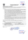 Vista preliminar de documento Resolución Sub Gerencial N° 0281-11-2020-MPT