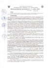 Vista preliminar de documento Resol_Alcaldia_176_2018.pdf