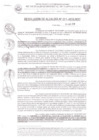 Vista preliminar de documento Resol_Alcaldia_224_2018.pdf