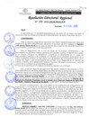 Vista preliminar de documento RDR 105-2020