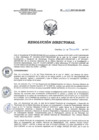 Vista preliminar de documento RD 210-2021-SA-DG-INR.pdf