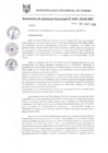 Vista preliminar de documento RGM0287-2018