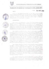Vista preliminar de documento RGM0291-2018