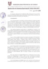 Vista preliminar de documento RGM0333-2018