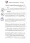 Vista preliminar de documento RGM0334-2018
