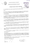 Vista preliminar de documento RESOLUCIÓN DE ALCALDÍA N° 0295-2017/MPS