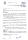 Vista preliminar de documento RESOLUCIÓN DE ALCALDÍA N° 0303-2017/MPS
