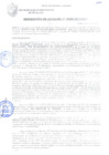 Vista preliminar de documento RESOLUCIÓN DE ALCALDÍA N° 0905-2017/MPS