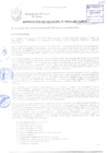 Vista preliminar de documento RESOLUCIÓN DE ALCALDÍA N° 0931-2017/MPS