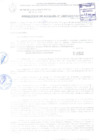 Vista preliminar de documento RESOLUCIÓN DE ALCALDÍA N° 1007-2017/MPS