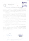 Vista preliminar de documento RESOLUCIÓN DE ALCALDÍA N° 1046-2017/MPS