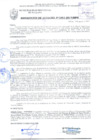 Vista preliminar de documento RESOLUCIÓN DE ALCALDÍA N° 1051-2017/MPS