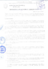 Vista preliminar de documento RESOLUCIÓN DE ALCALDÍA N° 1004-2017/MPS