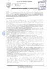 Vista preliminar de documento RESOLUCIÓN DE ALCALDÍA N° 1103-2017/MPS